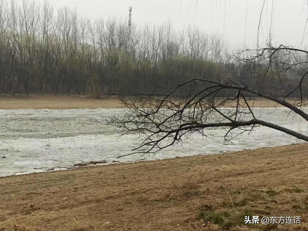 梁东方
饭后坐在阳台上的椅子里，自由地阅读。面对窗外的田野和田野之上的暮色，没有