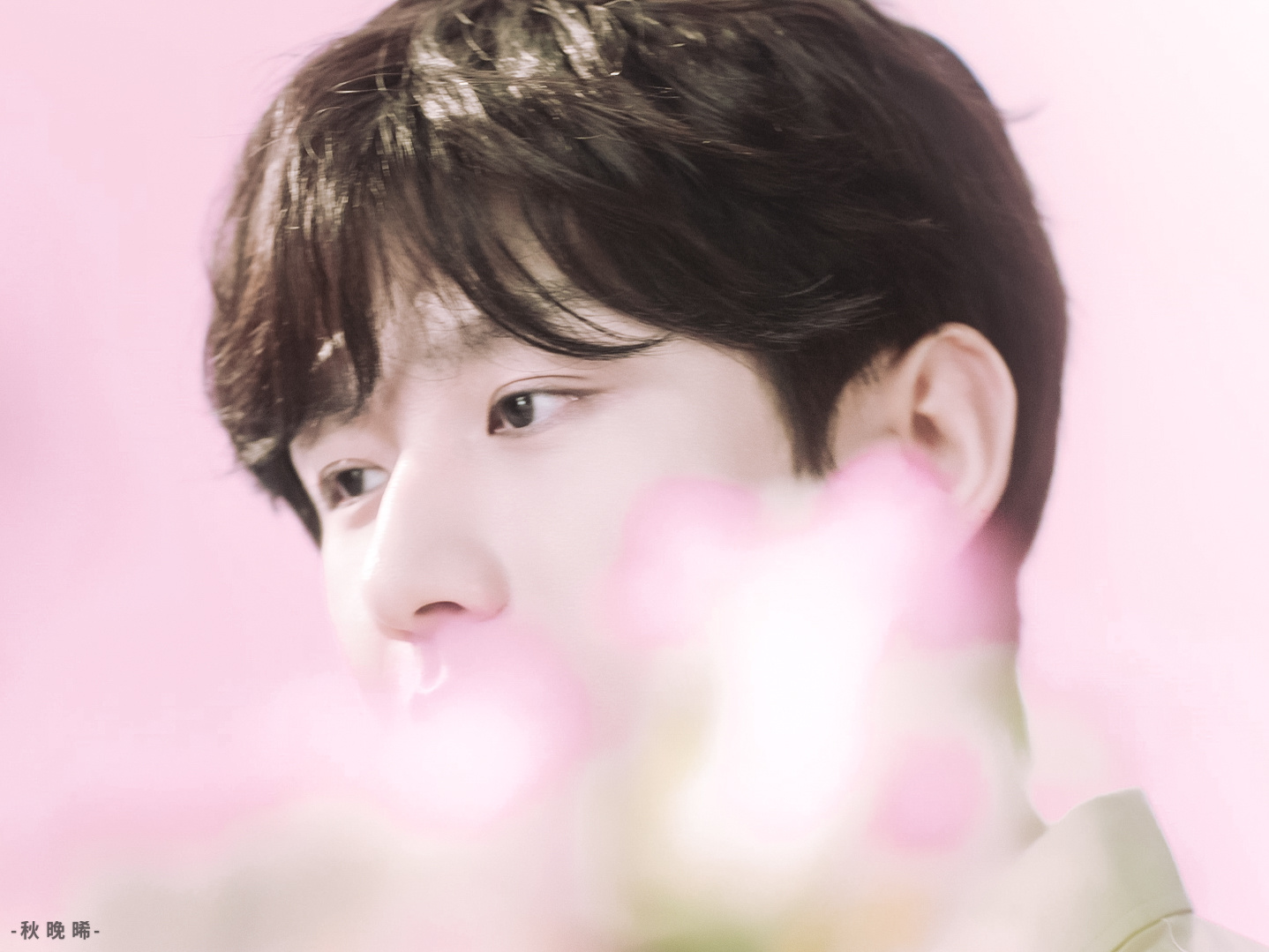 粉雾漫花，温柔赴约💓成毅 ​​​