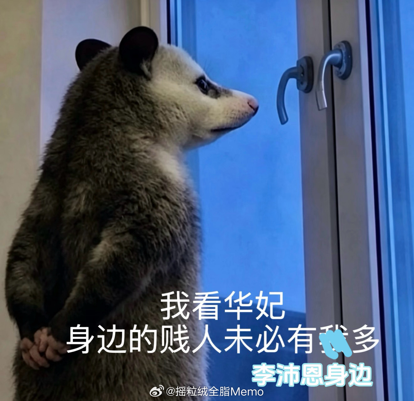 分享图片 