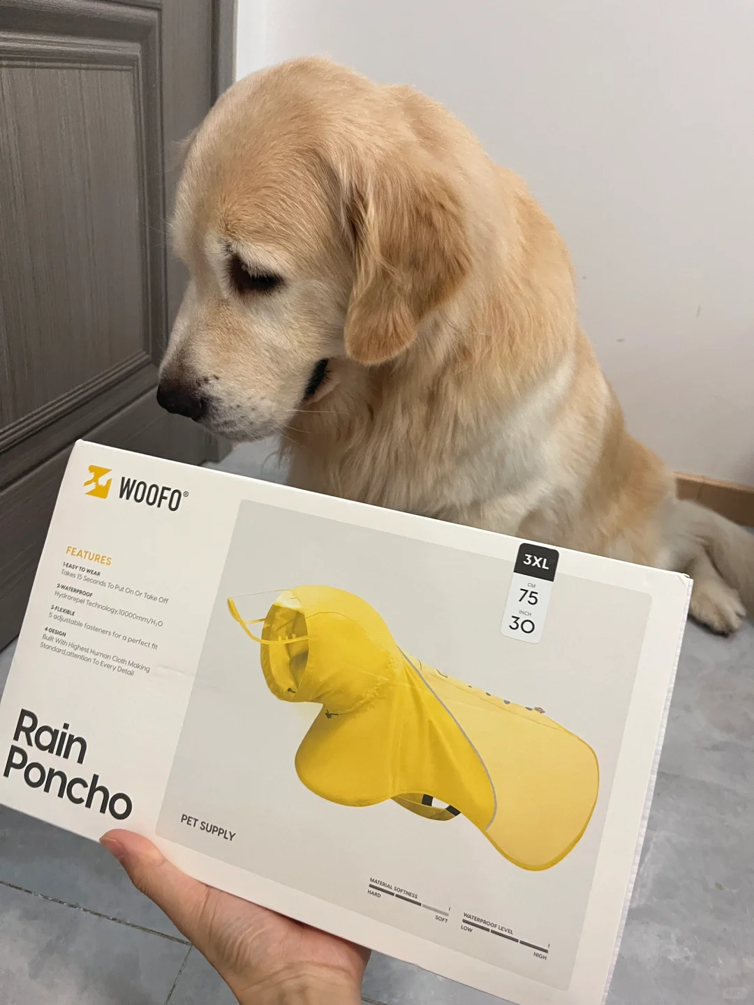 麻麻再也不用担心下雨遛狗啦～