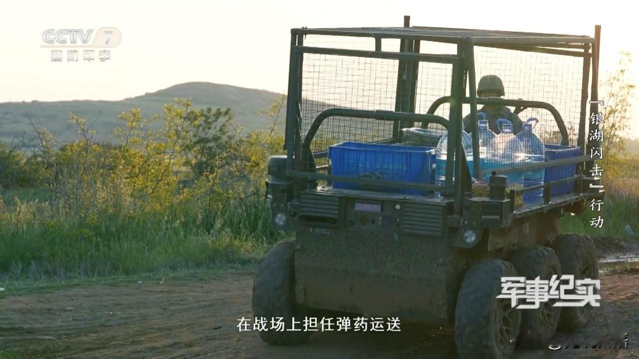 未来战争的形态似乎不难判断，说到底将围绕无人机进行，与如何使用无人机以及如何防御