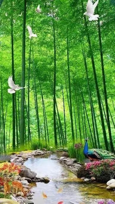 父母老了，需要的是陪伴还是金钱