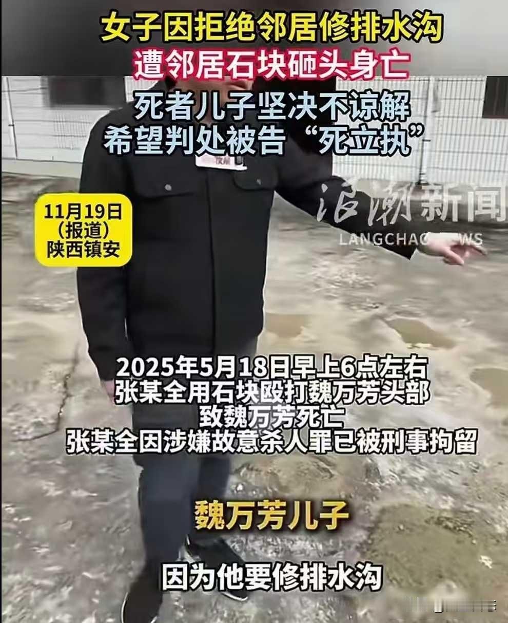 母亲挡路被砖砸死，邻居动手没商量，土地纠纷酿人命

那天上午，寇先生的妈妈魏万芳