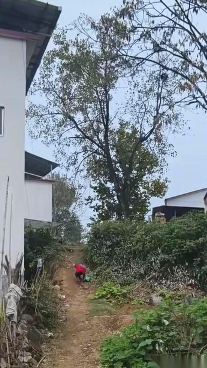 就那么一小段土坡，也就10米吧，小小的身影，回头看了三四次。
书包看着比她还沉，