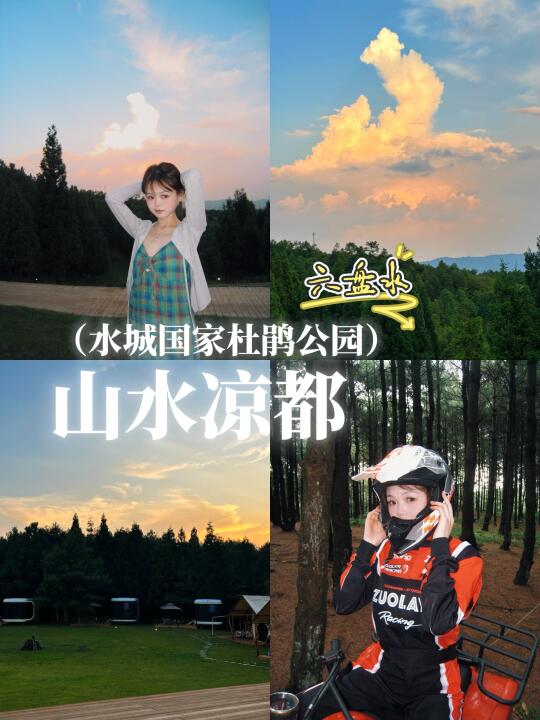 🏔️奔赴“山水凉都”｜水城国家杜鹃公园