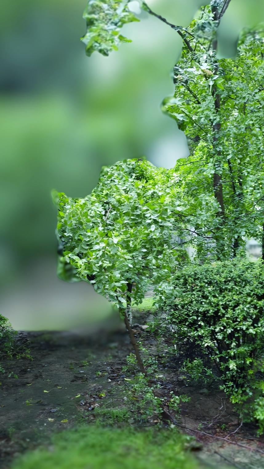 考试模式也有显著变化。过去是固定文理分科，学生选择少，得学不擅长的科目。现在多数