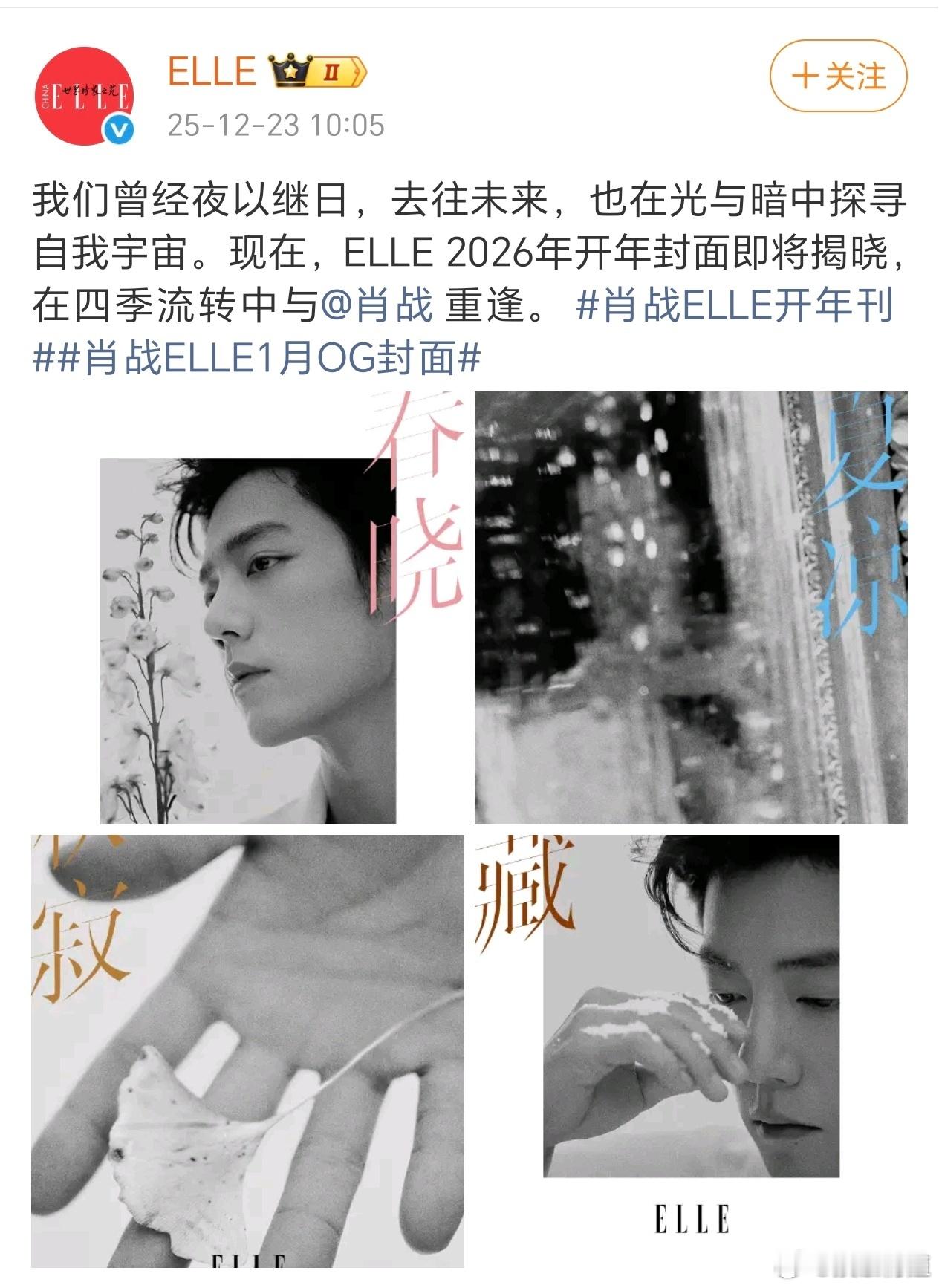 肖战在四季流转中重逢 肖战ELLE杂志开年刊，“春晓，夏凉，秋寂，冬藏”，在四季
