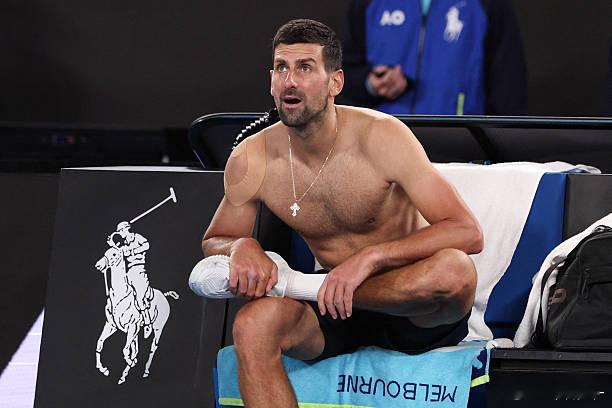 一旦接受这个小考拉像德约科维奇的设定，就越看越顺眼了哈哈哈。炯炯有神的眼睛！！！