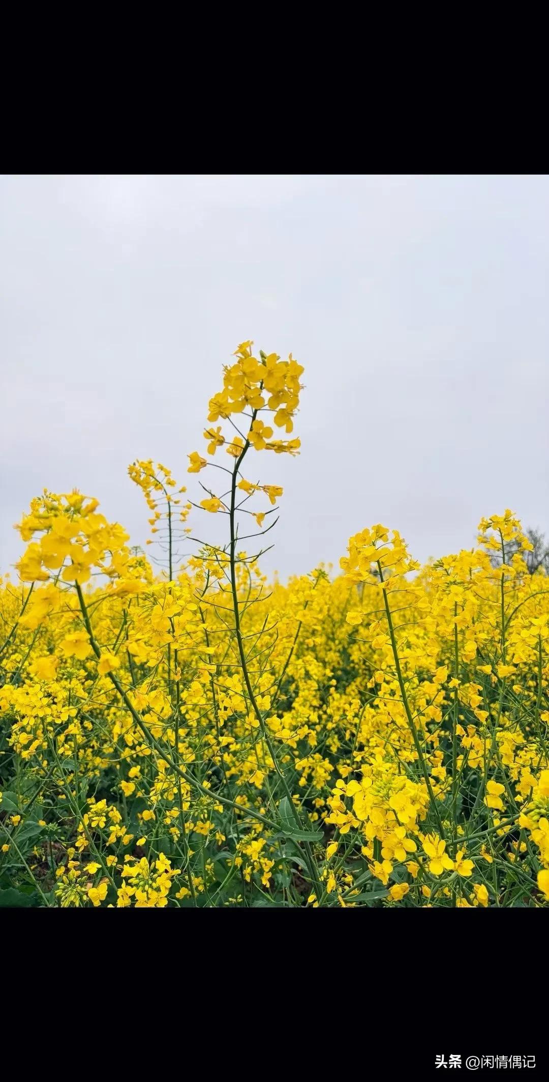 人生低潮时，该做什么
 
人这一辈子，谁都有走下坡路、心里发闷的时候，我觉得，低