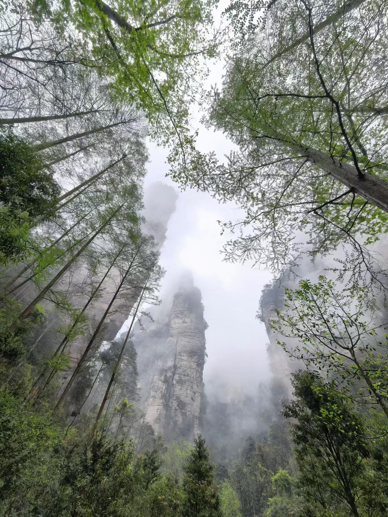 四月仲春，烟雾缭绕的湖南张家界，手机随手拍。