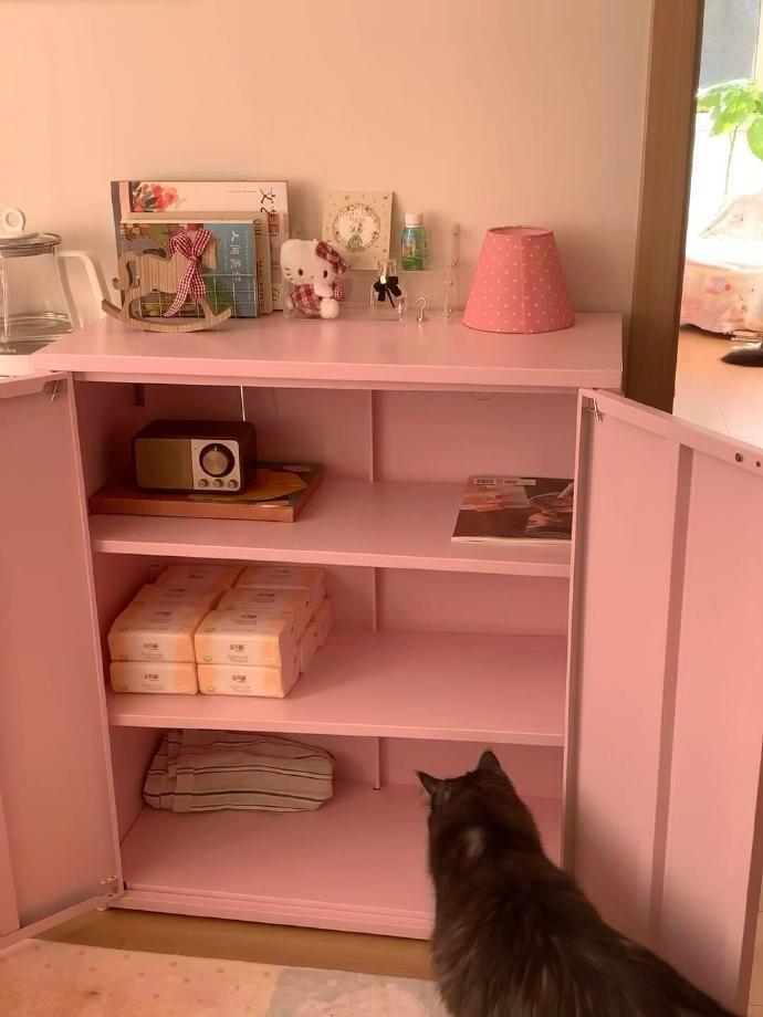 这个柜子的粉色也太美妙了，韩式氛围感拉满！ 