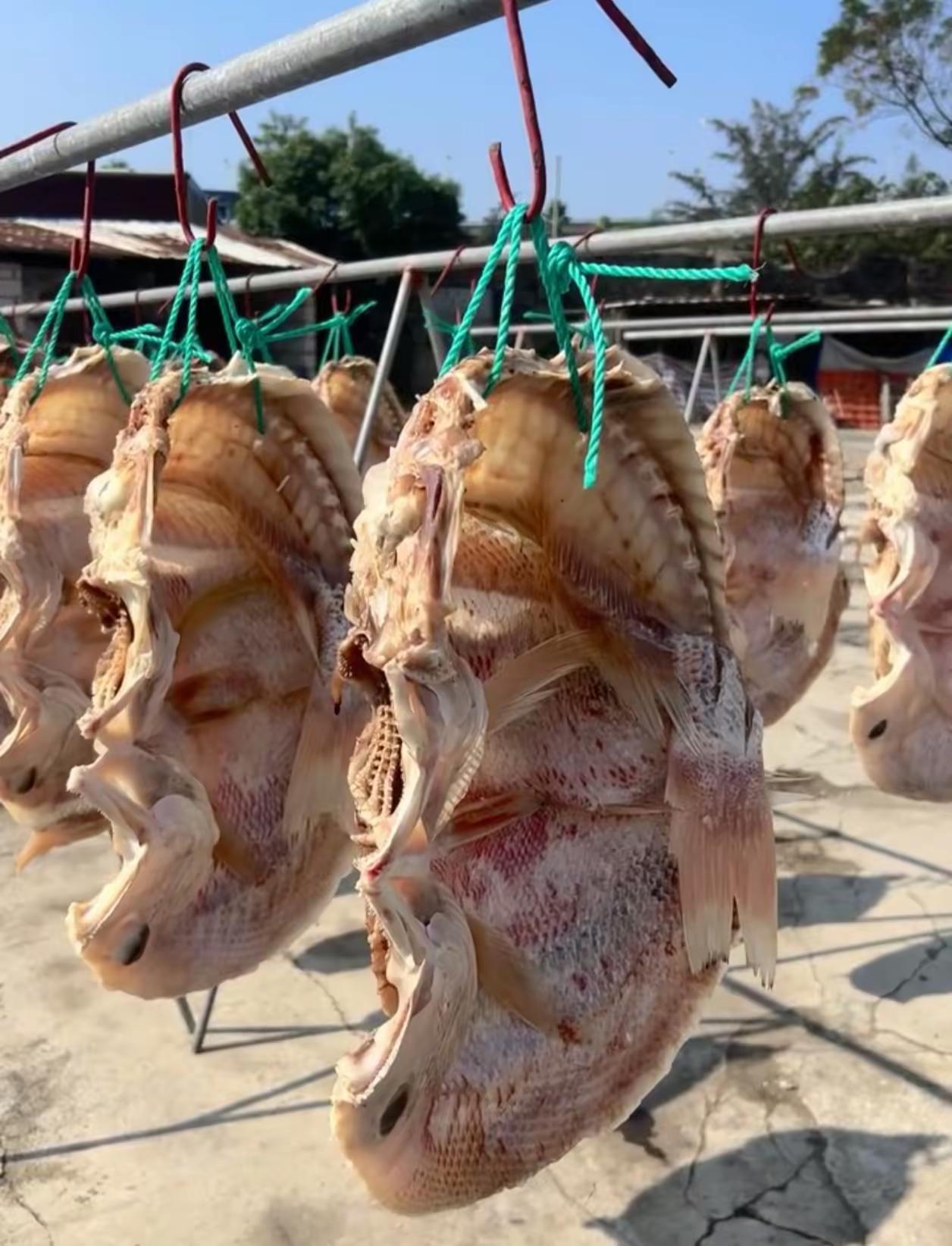 一张照片，在今日头条的评论区里炸了锅。有人说是古墓里挖出来的玉器，有人说是哪个大