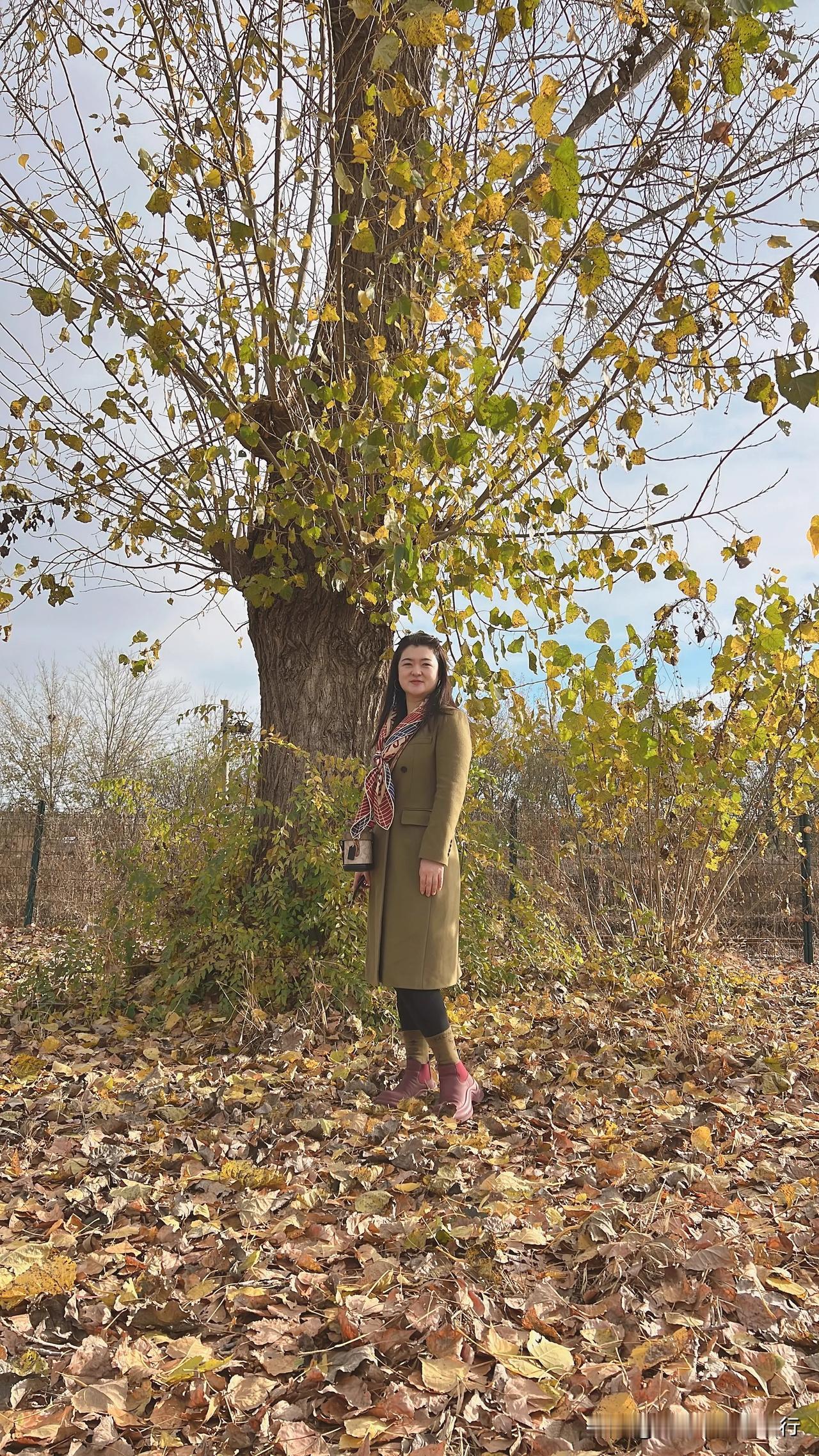 冬日漫步，落叶纷飞，温暖时光。🍂🍂🍂与你相伴，幸福长久，愿你健康快乐美丽青