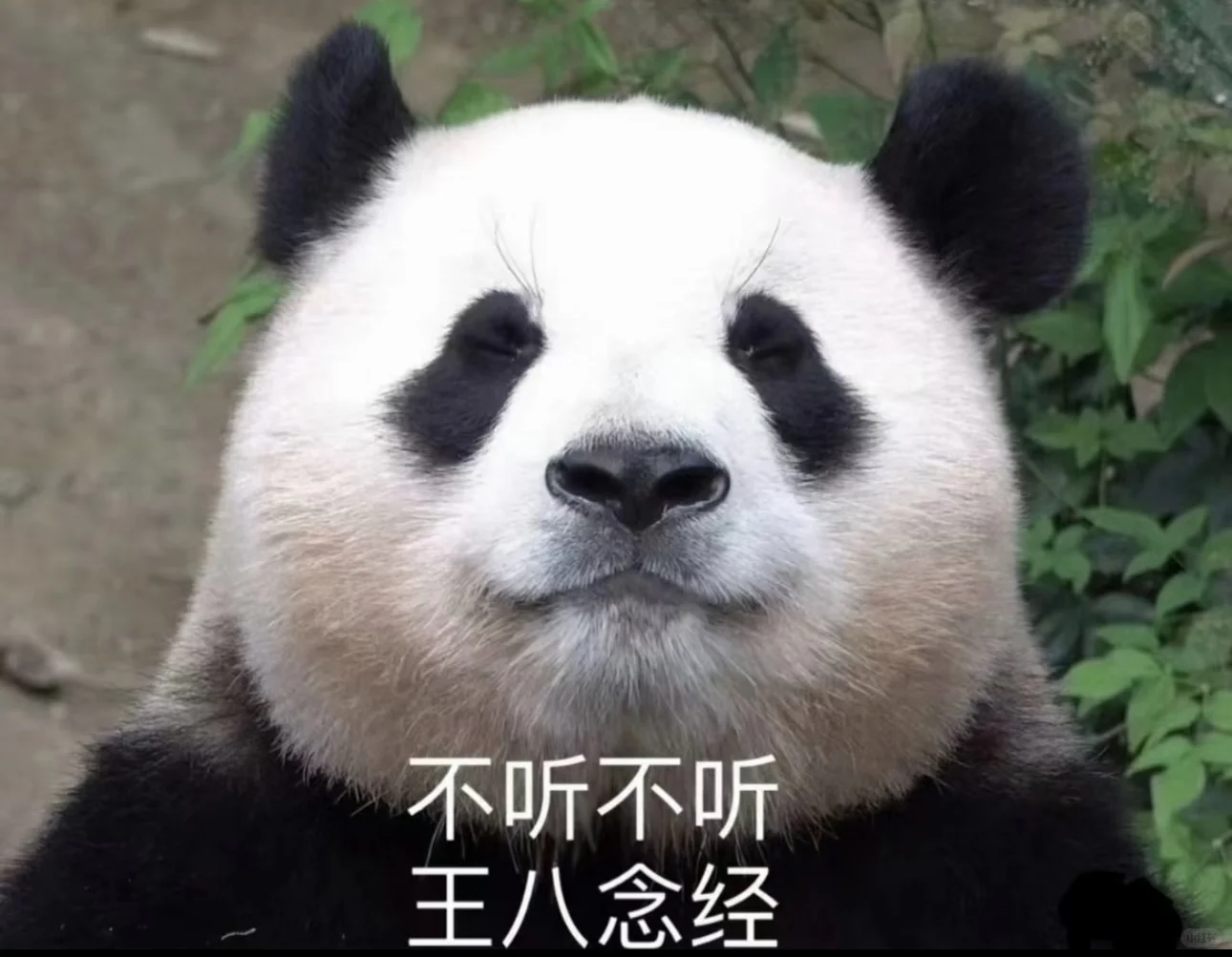 一人一张打工人专用表情包！