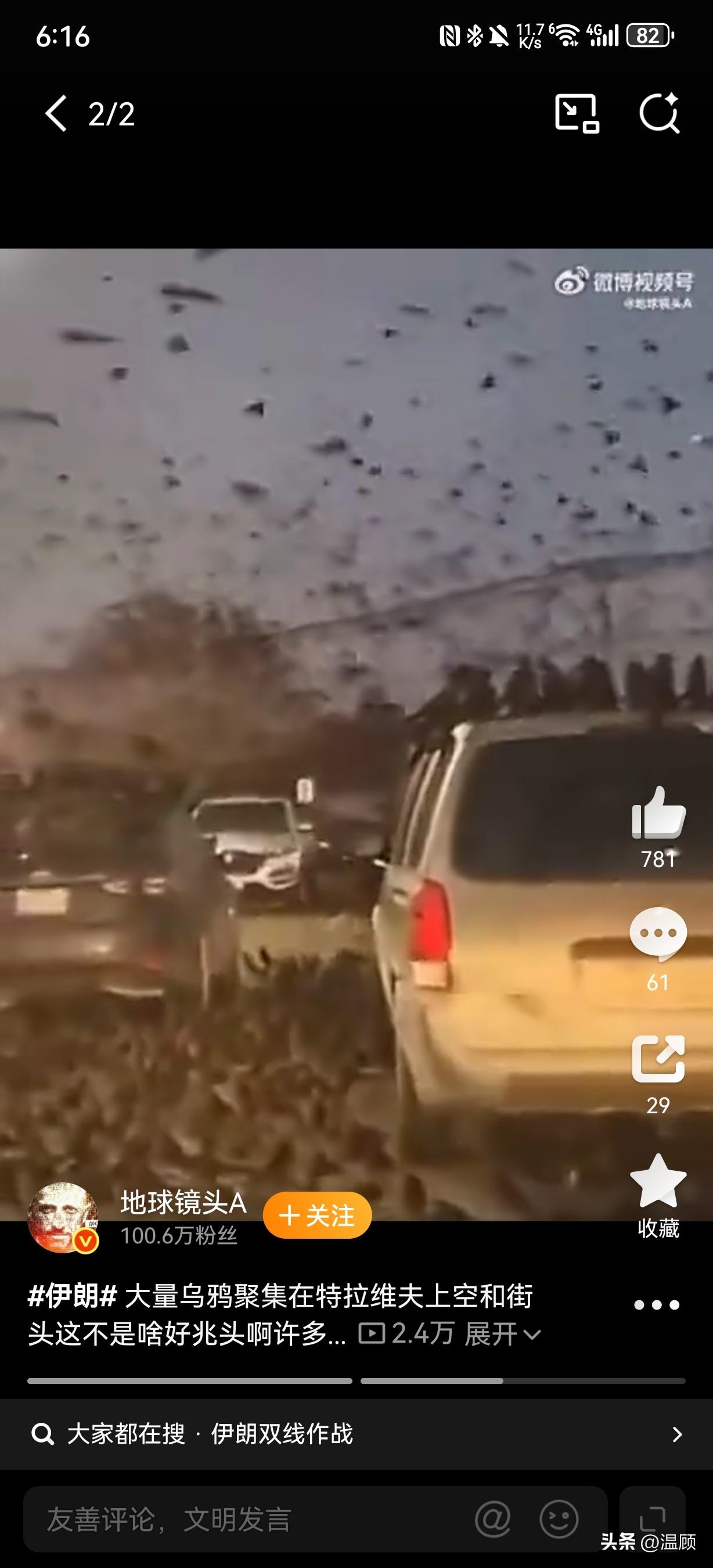 特拉维夫上空乌鸦成群，老外直呼“末日预兆”…近日以色列特拉维夫街头、上空出现大量