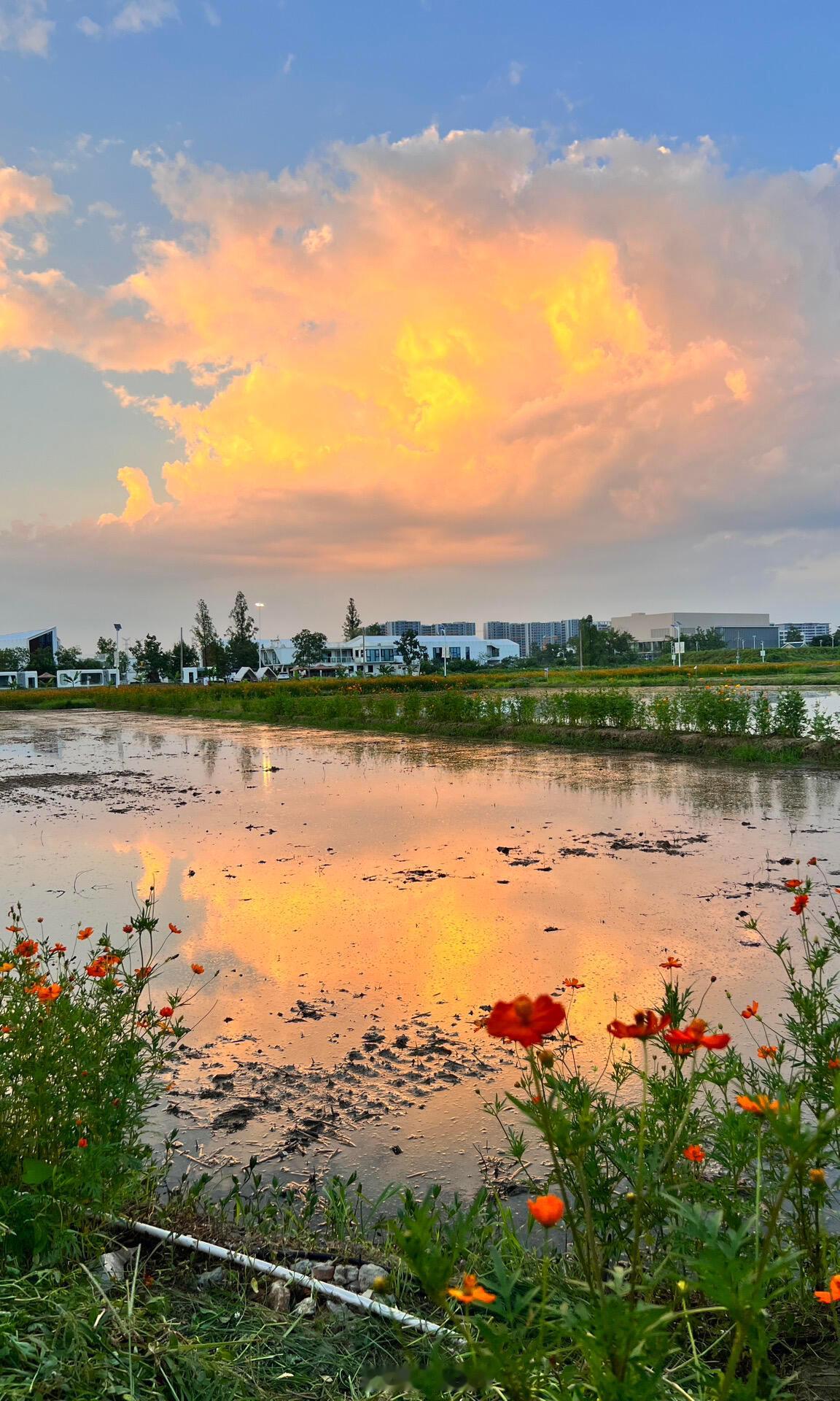 十个勤天[超话]后陡门夕阳十个勤天｜种地吧 ​​​