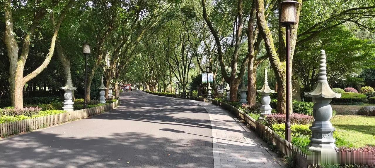 改变自己比改变环境更容易       我年轻的时候，由于血气方刚，总想改变这个世