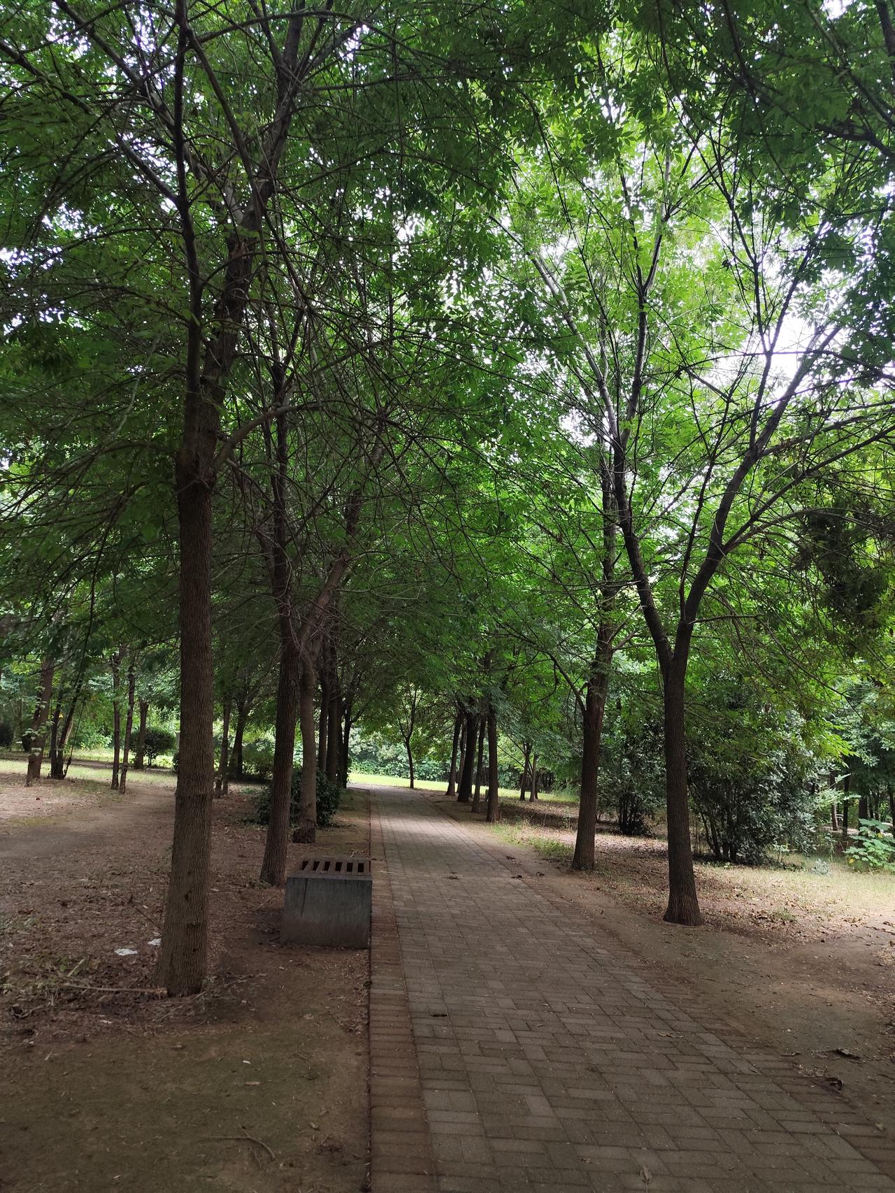 豆包跟我说：
会计必备的免费软件当属柠檬云，1分钟就能在电脑上轻松上手。
一、电
