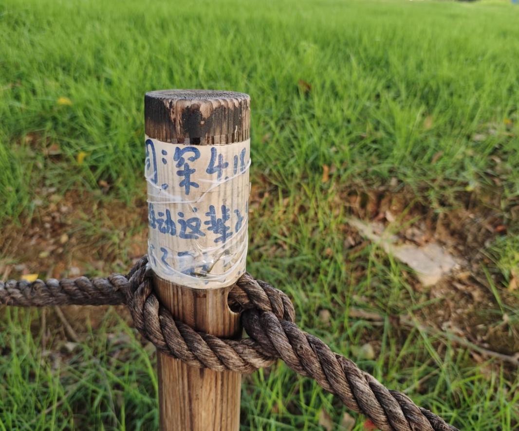 47359
宙斯粉丝树脂内🐟倒数第一好😂 ​​​