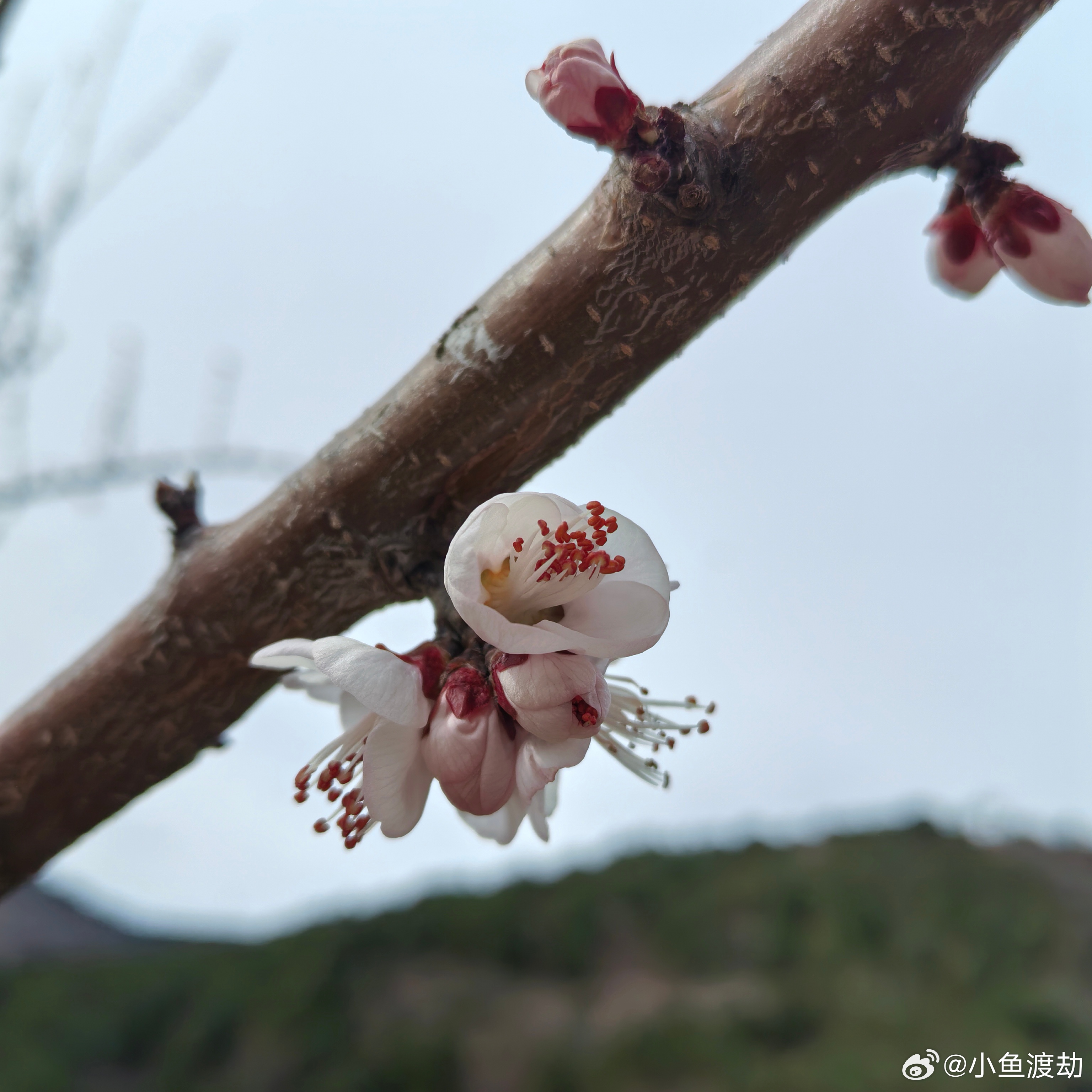 安全感是自己给自己的这个道理你用了很久才懂你查他手机、看他定位、问他跟谁吃饭。你
