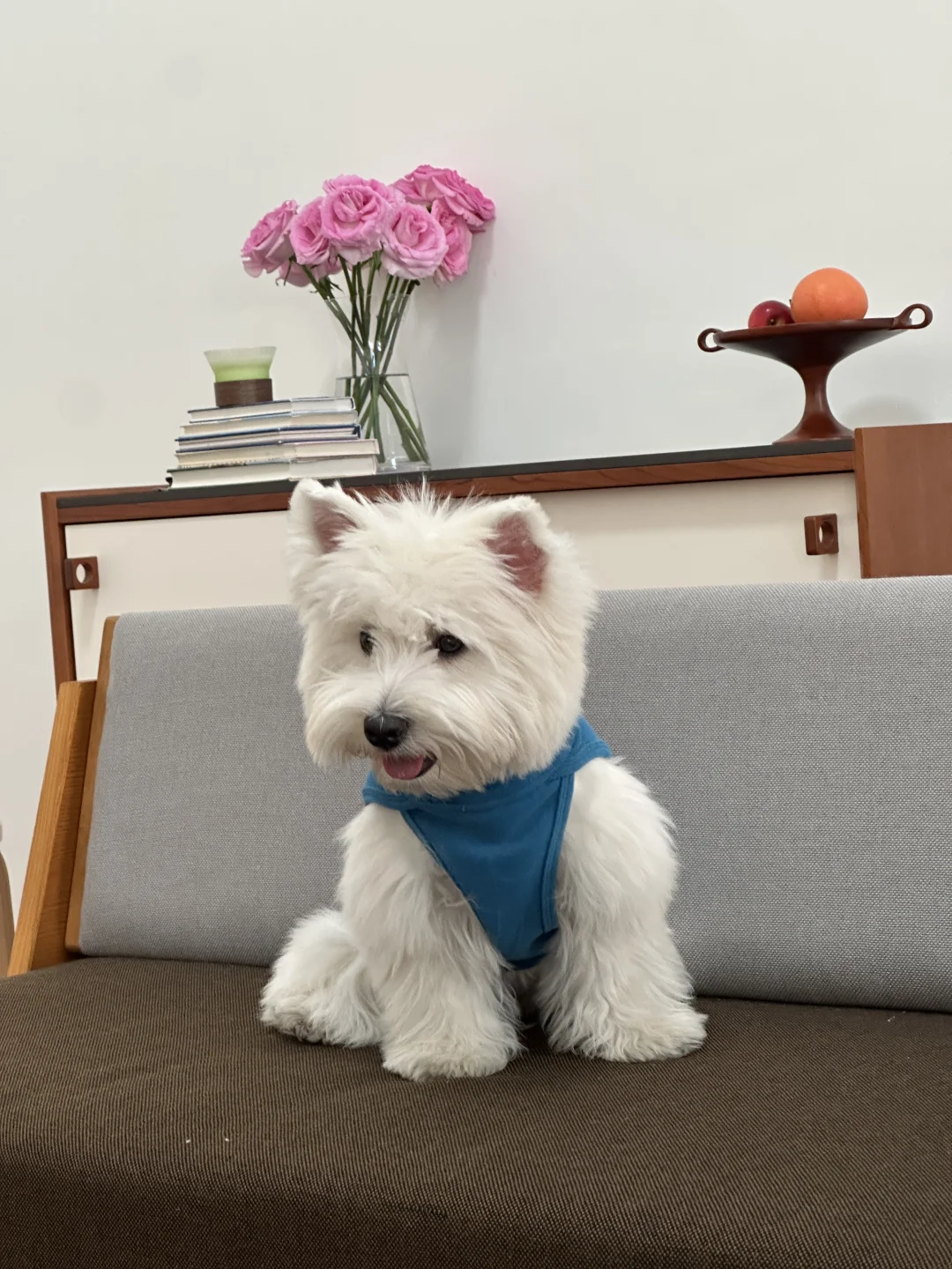 今日份蓝色ootd！