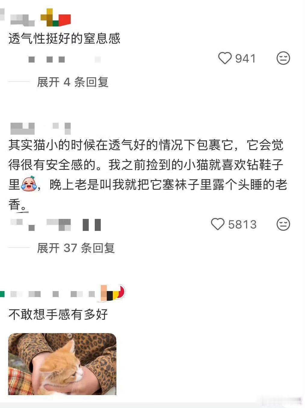 猫包已经进化成这样了猫包实现全方位通风，解决了闷汗难题，可小家伙一脸嫌弃，完全不