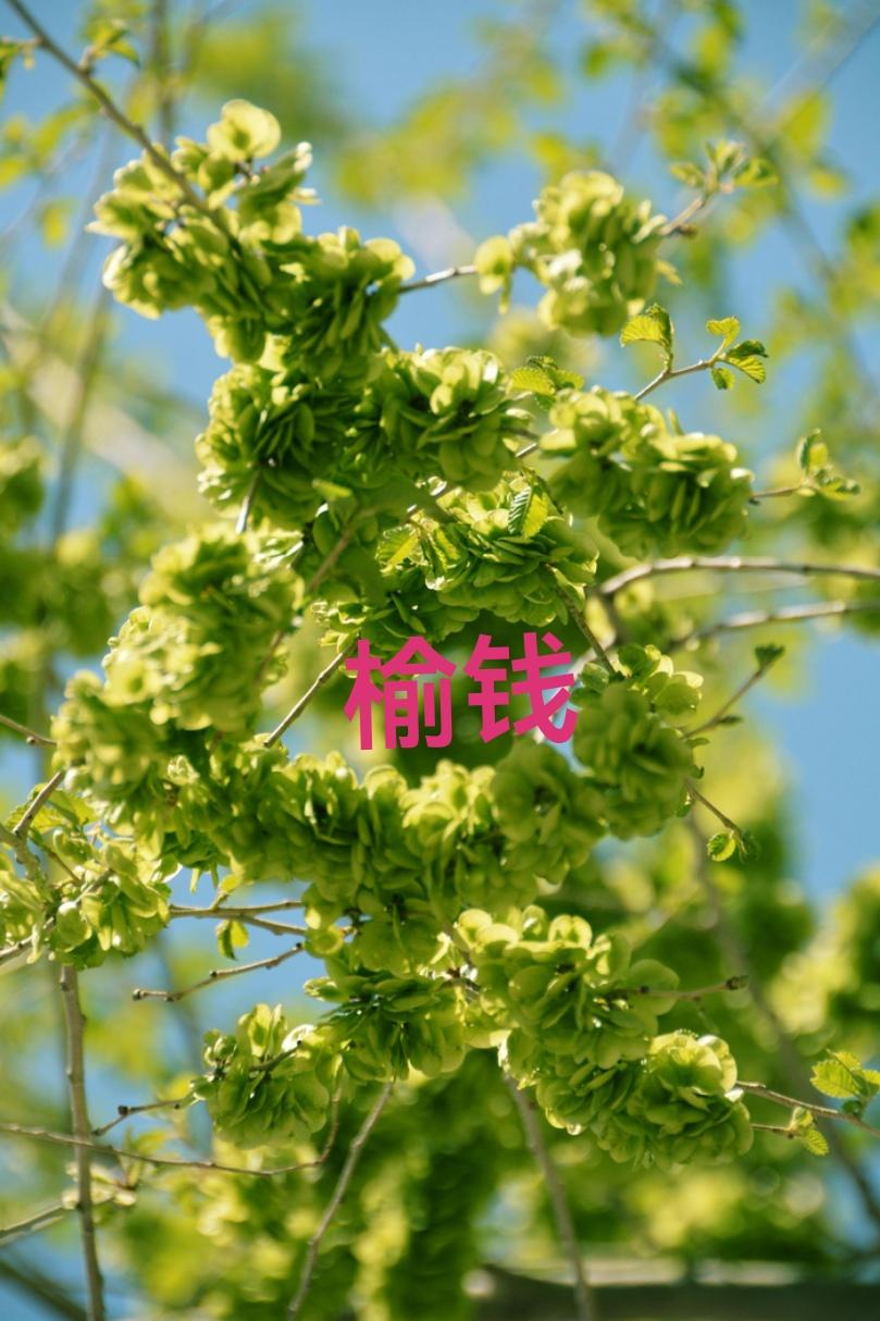 或者：舟摇湖中月
友友请邀对下联 友友请邀下联