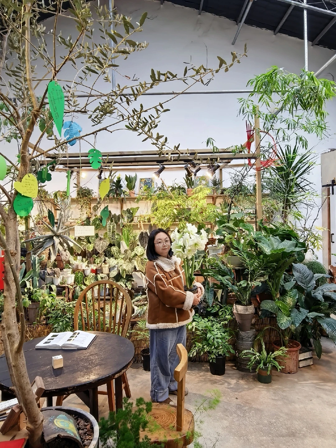 植物系咖啡馆打卡～森之