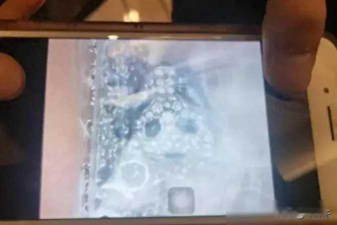 山东青岛，女子参加酒会时捡到一条价值18万的白金项链，她悄悄把项链拿回家。几天后