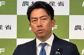 日防长危险言论。
外媒7月19日晚报道：“日本防长小泉进次郎公开提出，日本应毫无