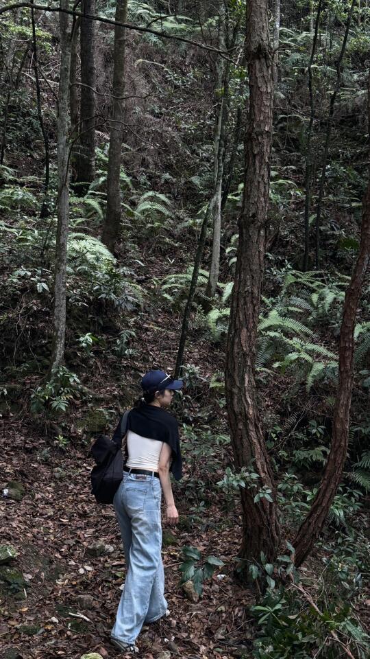 都往人海去｜而我去山林🌳