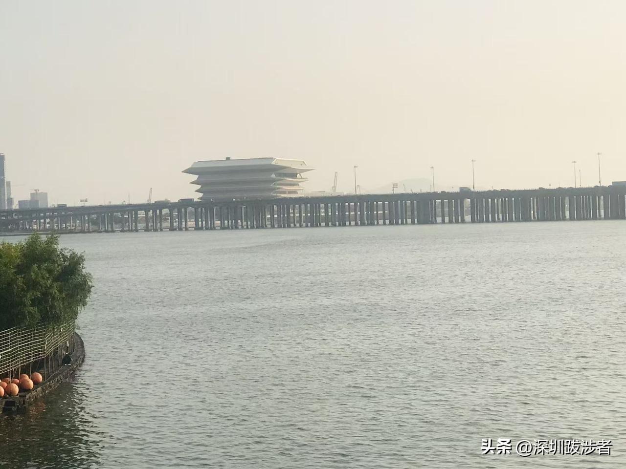 今天在前海湾腹地深入走了一圈，方才惊觉深圳的魄力有多大。这里正进行着的不是在滩涂