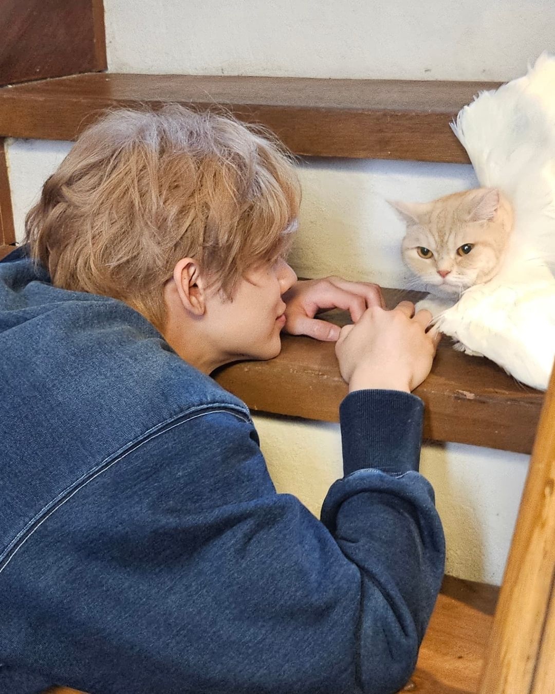 卷毛小猫🐈 ​​​