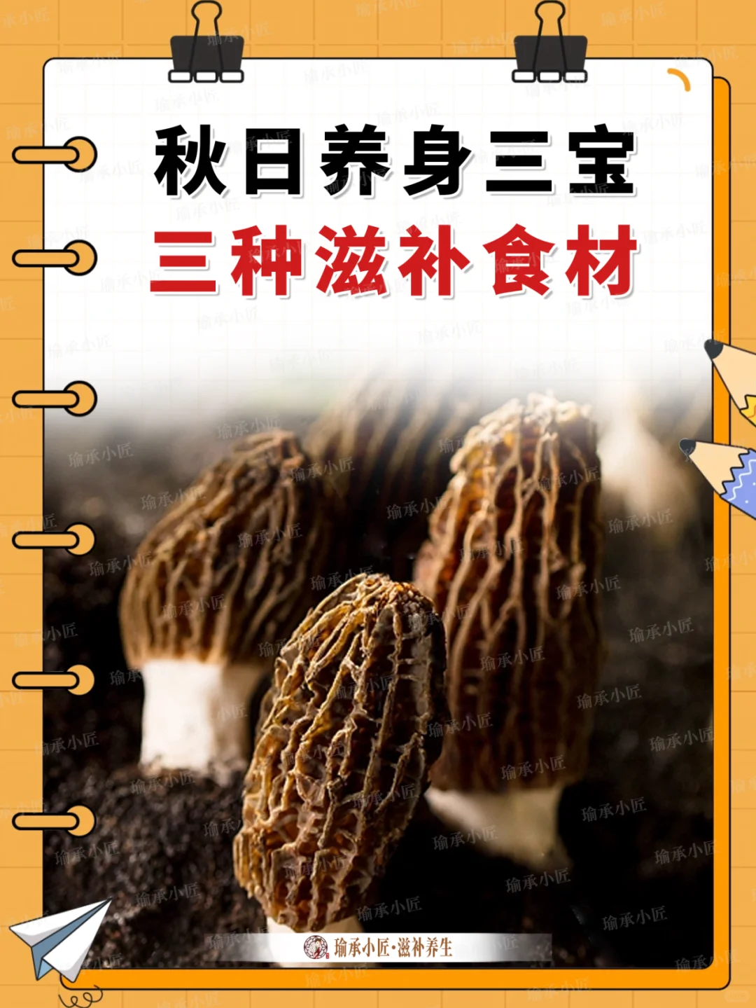 秋日养生三宝，是你想要的吗?