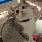 俊热玩科技