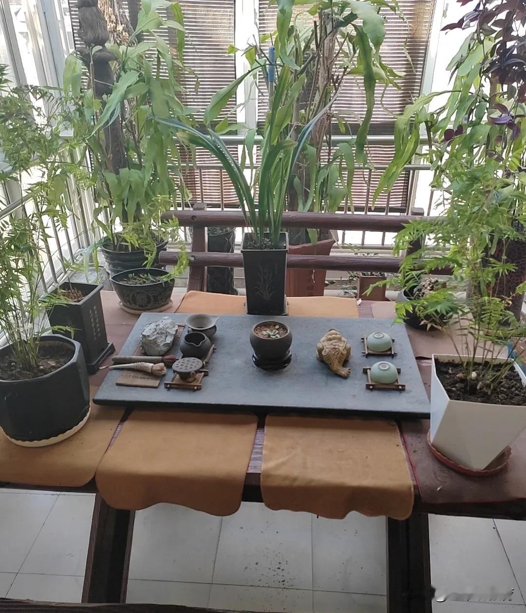  
西安的天气越来越凉，学生注意多穿衣，尽量别感冒了！气温降低变化之后，大多孩子