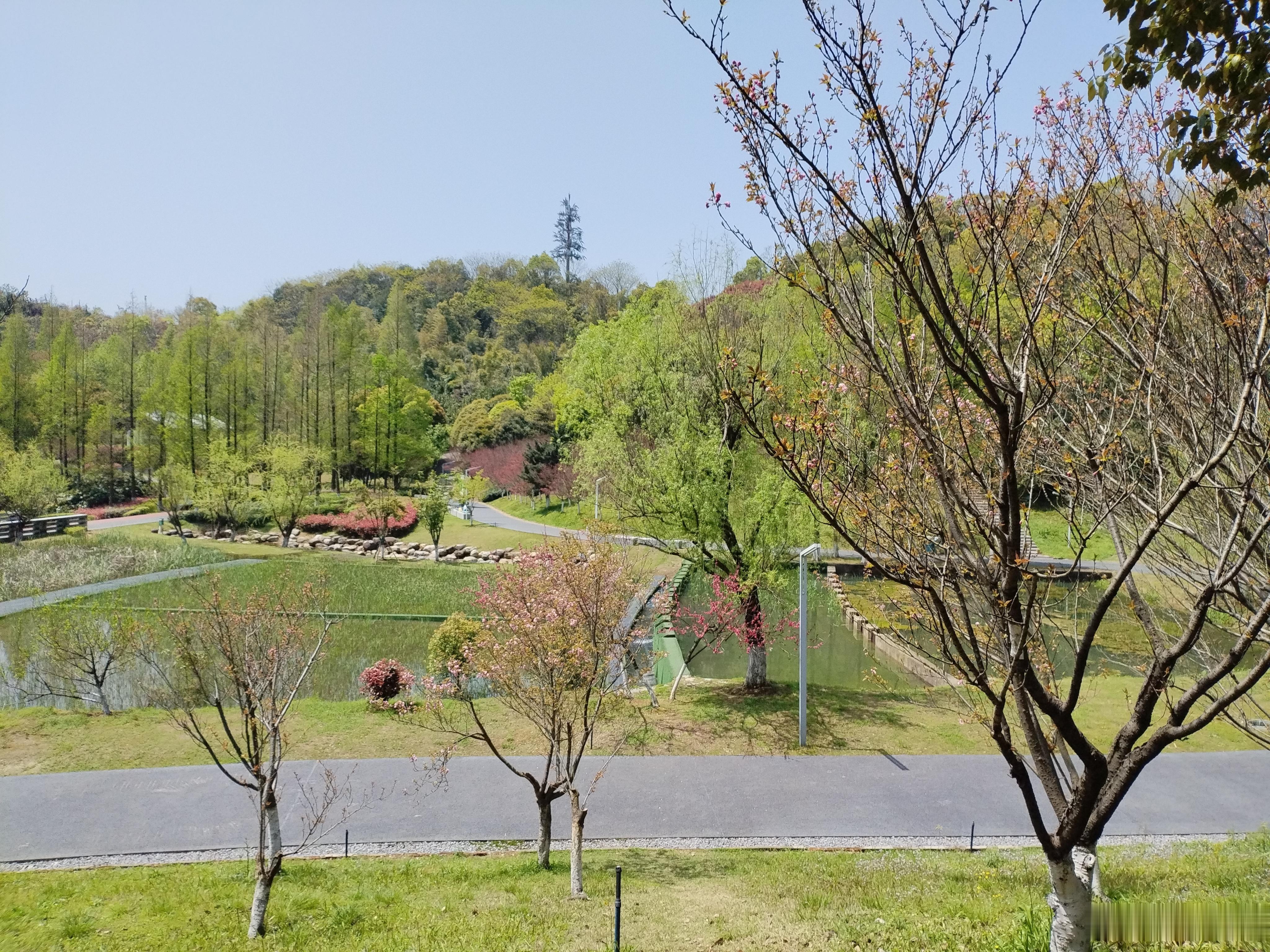 打卡尖山公园，今天步数1w+ 