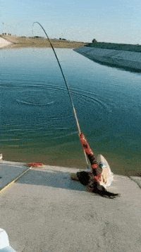 湖里有一条人鱼