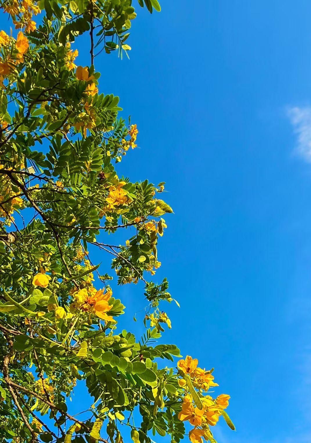 兑个彩票真是太费劲了
        天上掉馅饼，我不小心中了1000万的彩票，