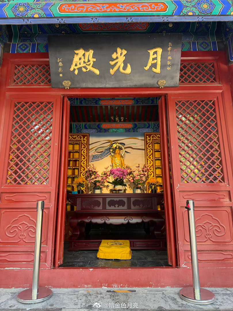 北京碎片 在戒台寺看到了我自己。