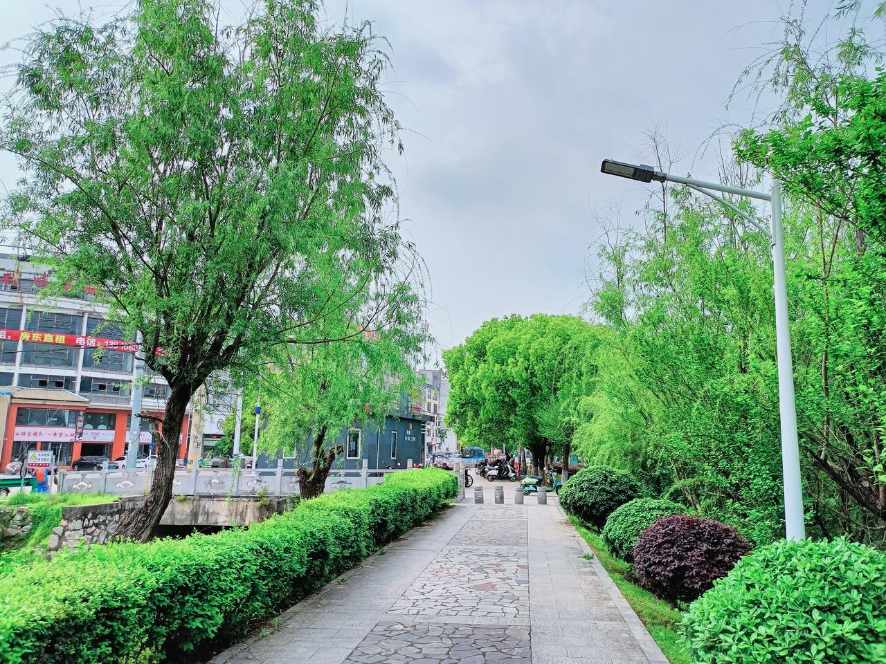 味太酸
 
街坊邻里都知道，巷口的李婶心里，总揣着一坛泡得发烂的酸杏，张口闭口，