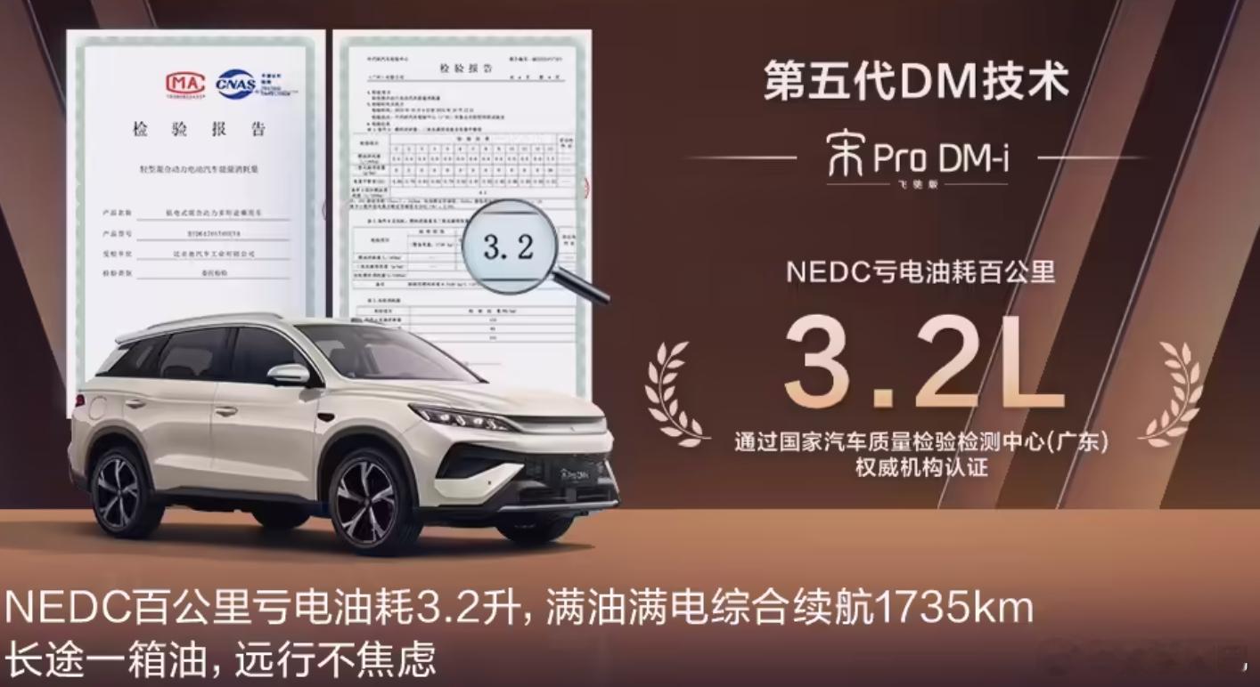 301km 纯电的插混，比亚迪宋 Pro DM-i 飞驰版 