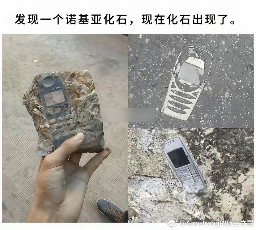诺基亚化石