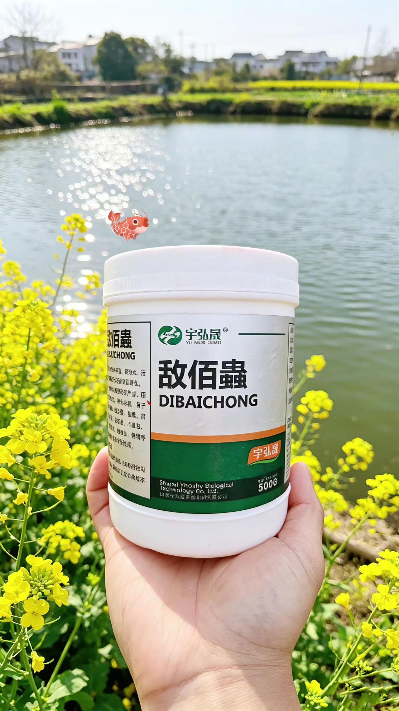 敌佰蟲 鱼塘养殖 鲢鱼 鲤鱼 草鱼