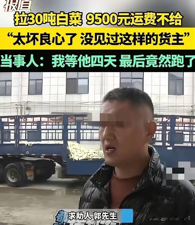 脸都不要了！河南，一男子从内蒙订了30吨白菜，并承诺到时给货运司机9500元运费