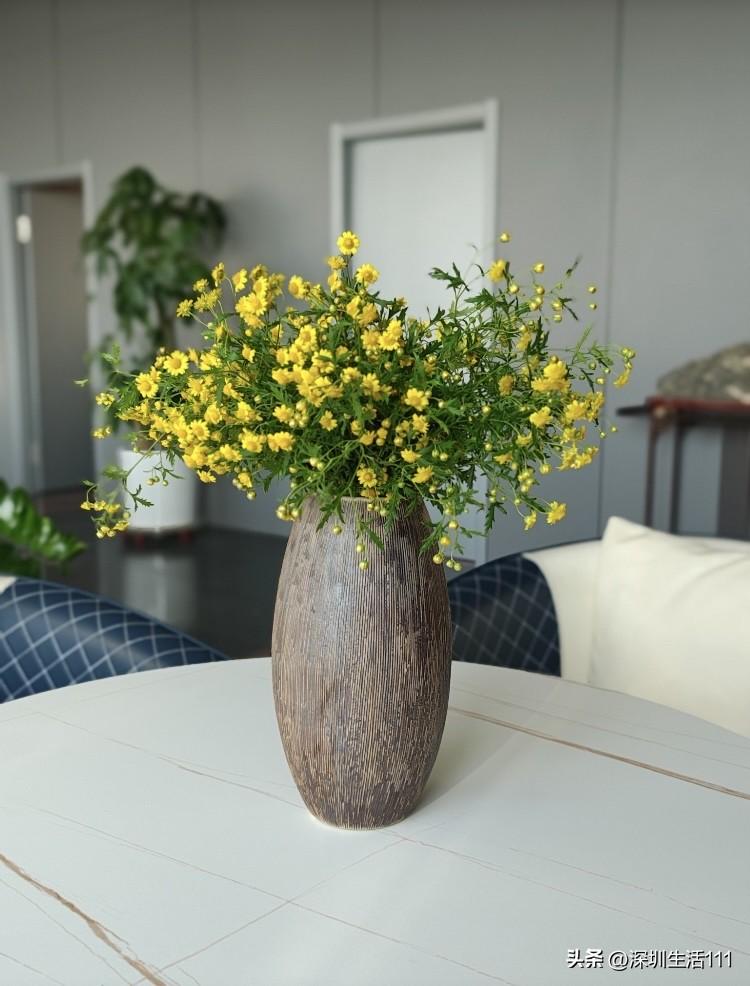 带儿子的女人，为什么不受欢迎？

我们财务中心以前有个同事，三年前离婚，儿子那时