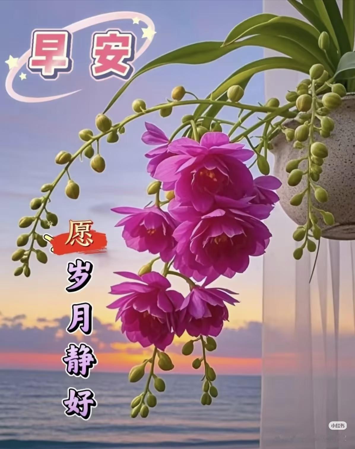 早上好，今天是8月16日星期日。
昨晚8点东亚女排半决赛，中国队3-0轻取中国香