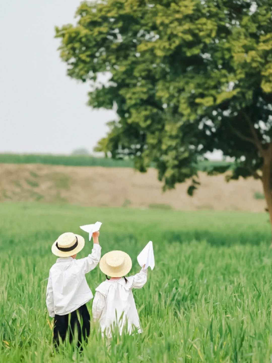 成都遛娃✅｜藏在市区里的喜洲同款风吹麦浪~