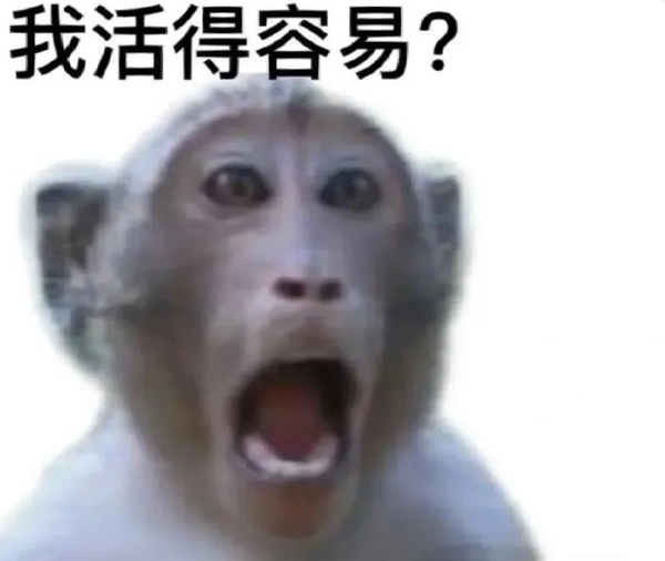 没有夏之光的周一 ​​​