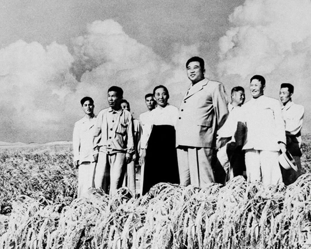 1962年 金日成视察平安南道井山里农业合作社，和社员一起站在丰收的稻田里。 